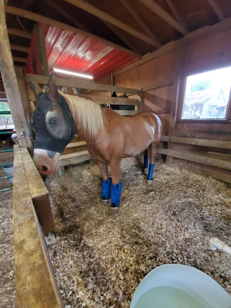 A horse with a mask inside a stable
