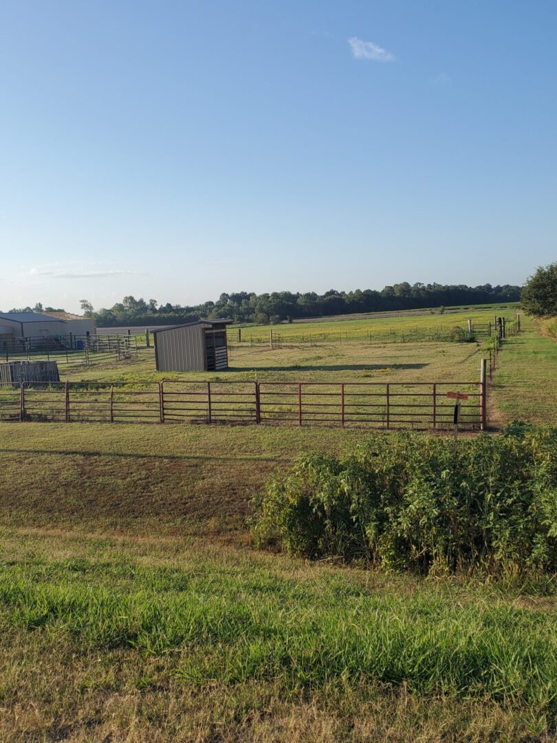 A horse stable in a field