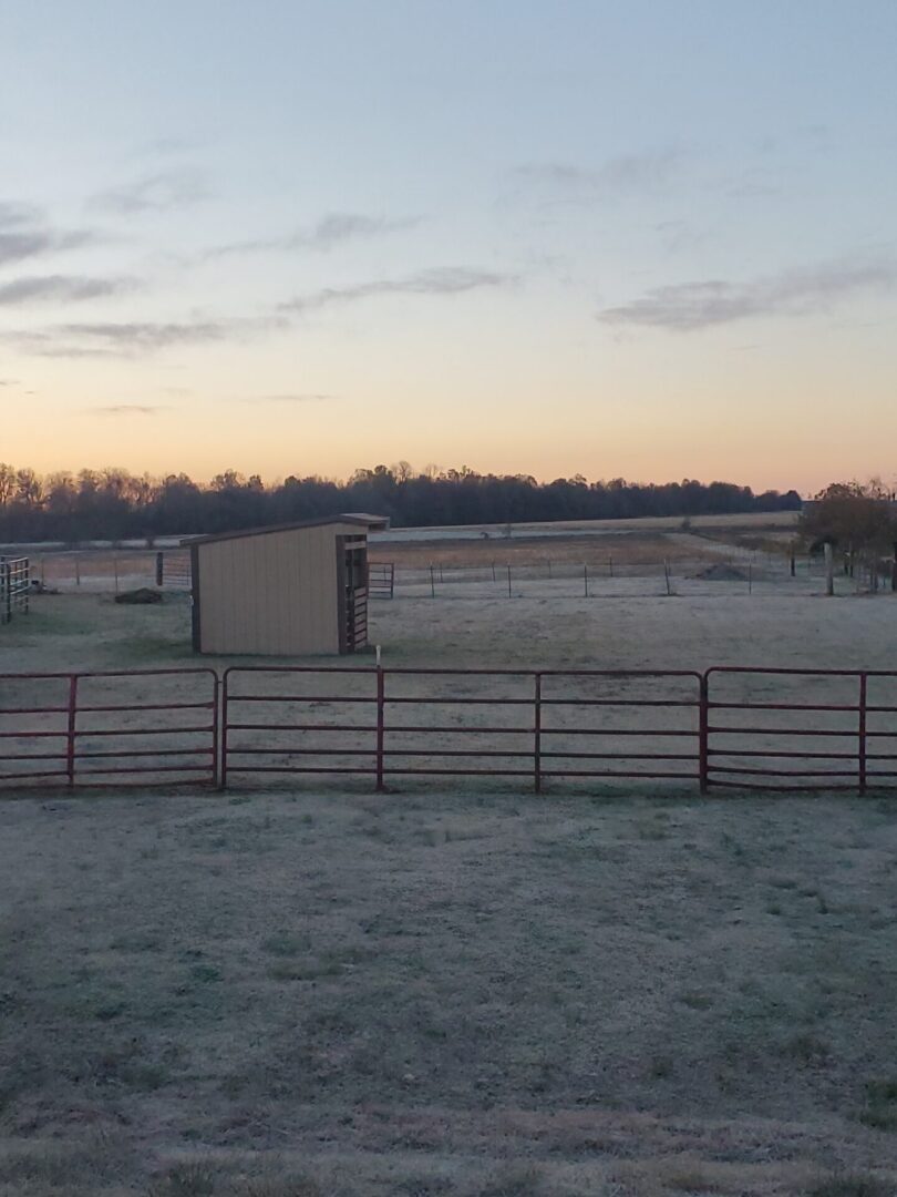 A horse stable in a field at evening